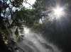 Ellinjaa Falls, Atherton Tablelands